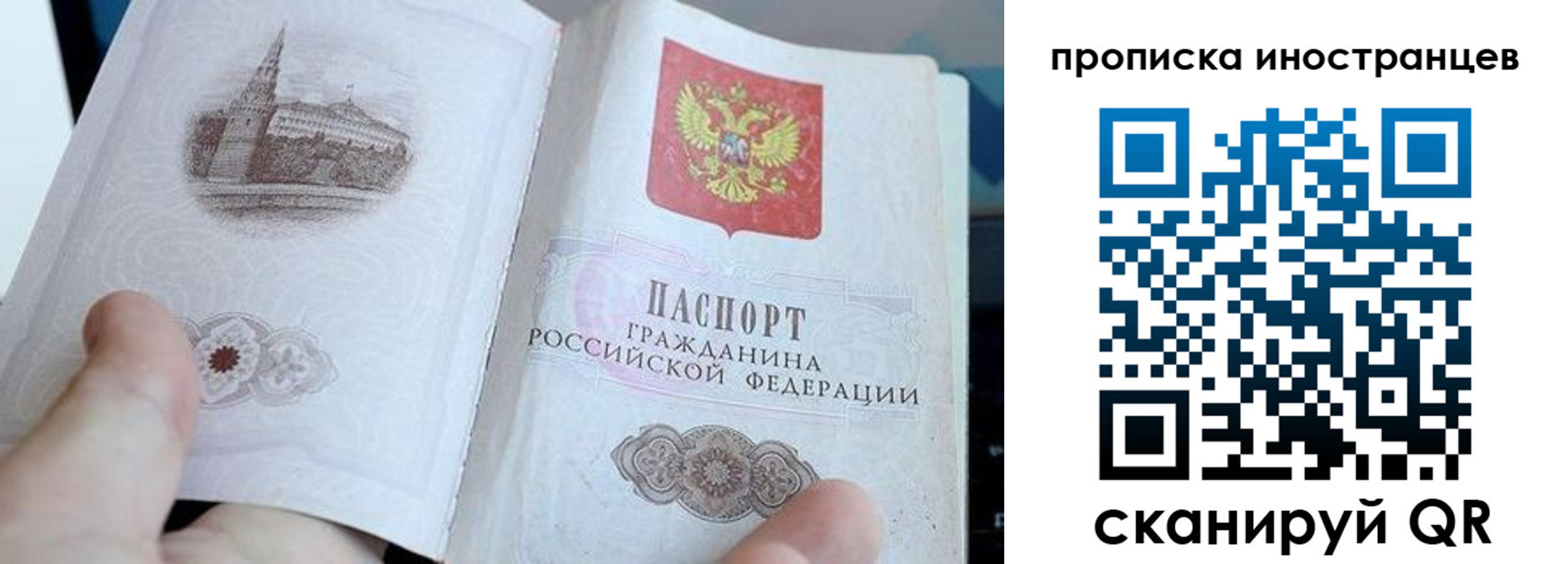 прописка поиск в Бородино